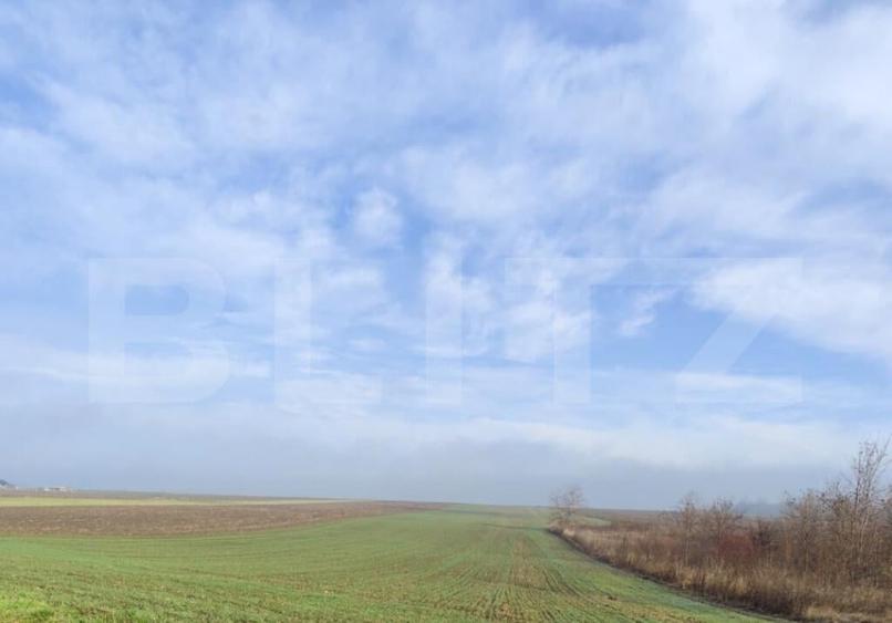 Teren 15000 mp extravilan, Miroslava-Vorovesti, langa zona d - 1