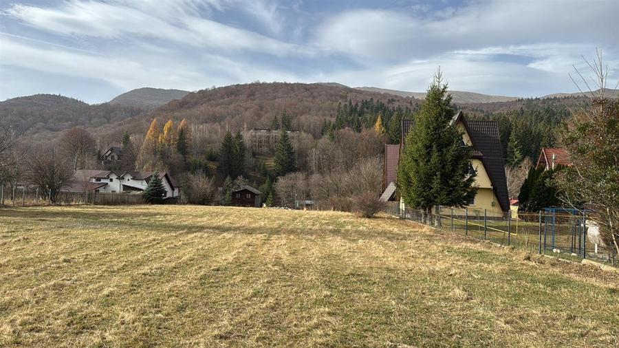 Teren de vanzare 1000 m2 Cheia - 4