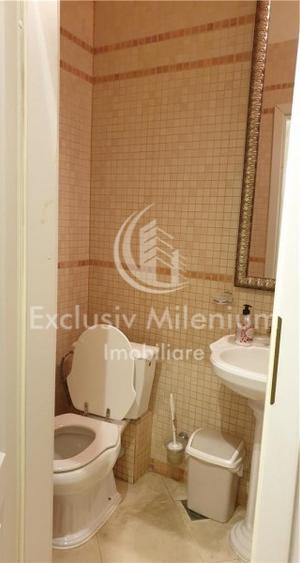 Vila / Casa Mosilor - Armeneasca ideal BIROURI - 9