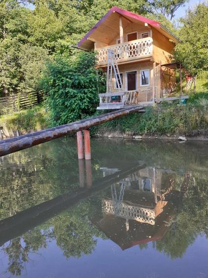 Casa de vanzare:Serel, jud Hunedoara,cu spa?iu comercial ?i iaz de peste. Detalii doar la telefon. - 6