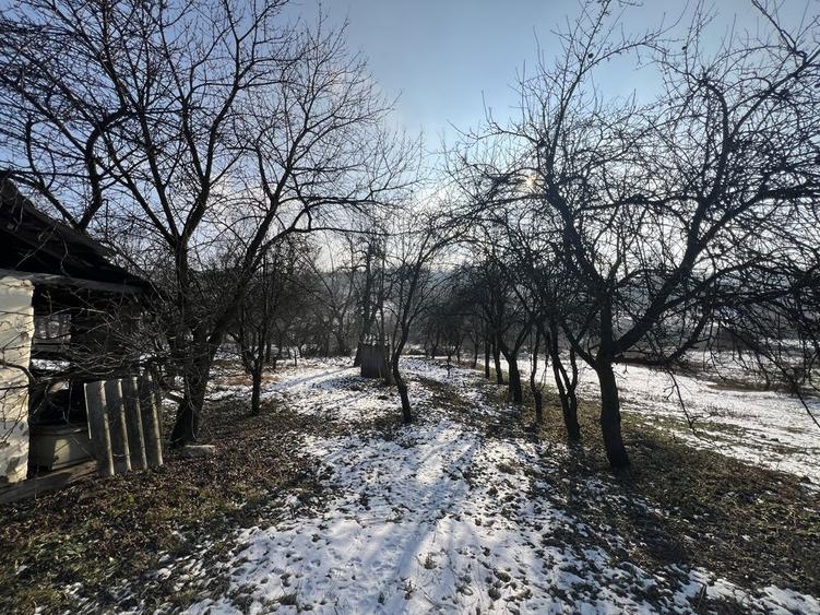 Casa batraneasca - curte si gradina 1924 mp + 2100 livada - 4