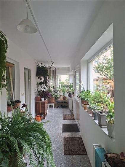 Casa individuala P+M , 5 dormitoare, 3 bai, 556 mp teren, Cernatu, Sacele - 14