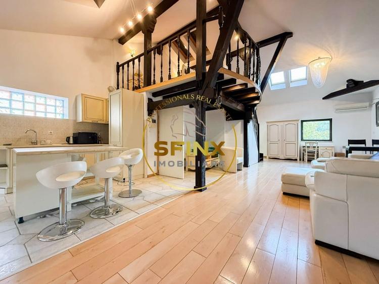 Armeneasca-Inchiriere,Casa eclectica sec XX,curte individuala,3 niveluri 295mpu - 21