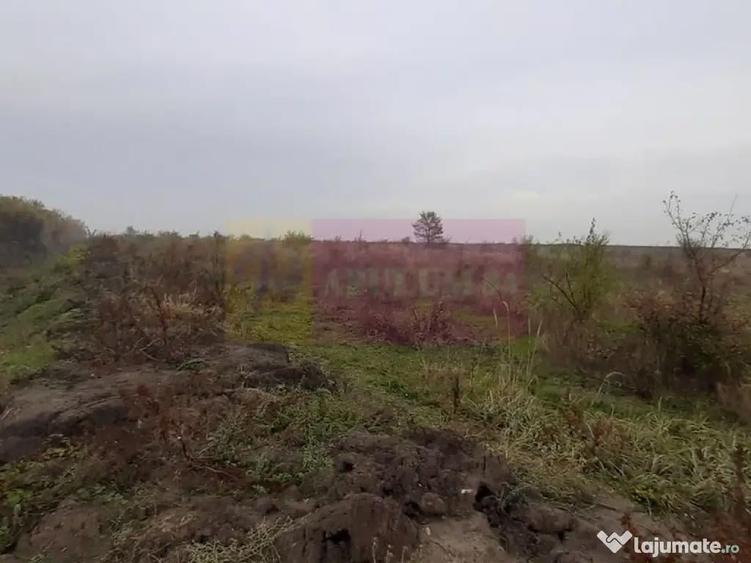 Teren Corbeanca in zona Cantonului aproape de A0 - 8
