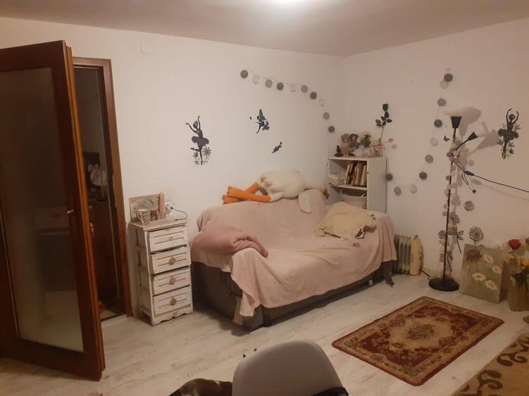 Cismigiu, Vila, garsoniera 19 mp - 5