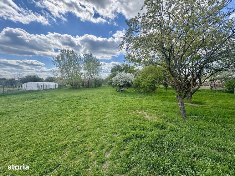 Vand teren 4097 mp, Aradul Nou - 4