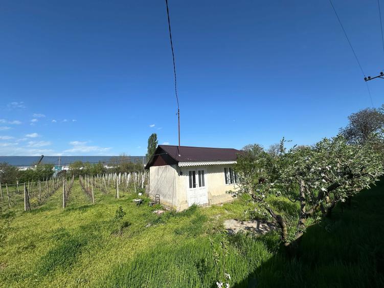 Vand loc de casa - 5