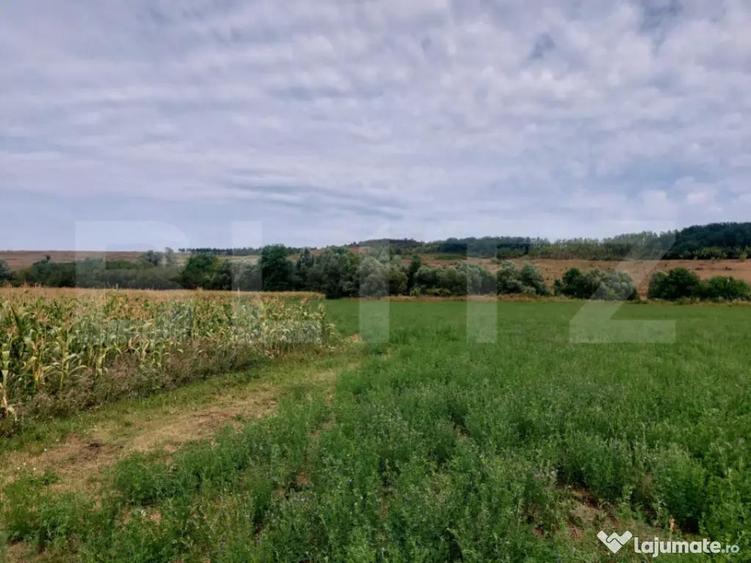 De vanzare teren Fundatura 27500mp - intravilan - 5