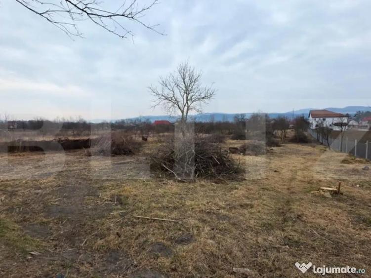 Doua case de vanzare, curte comuna, 4 camer 110mp, 50 ari - 9