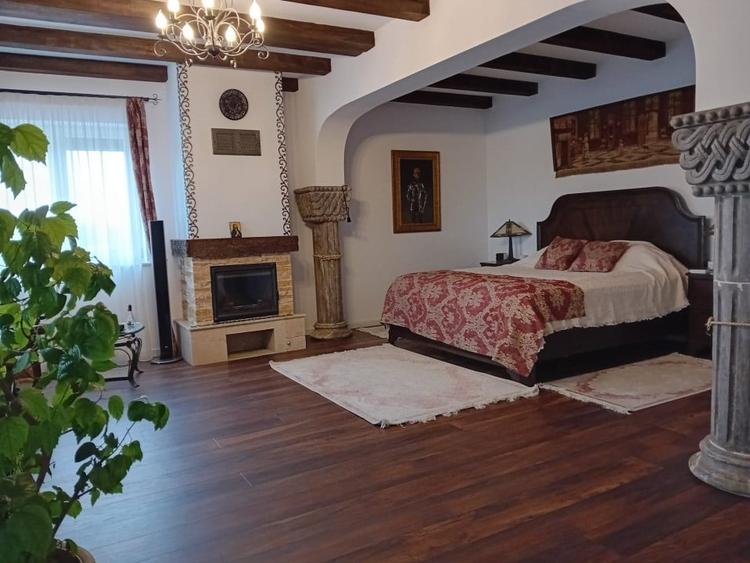 De vanzare vila exceptionala in stil Neo Romanesc cu vedere la lac si padure - 12