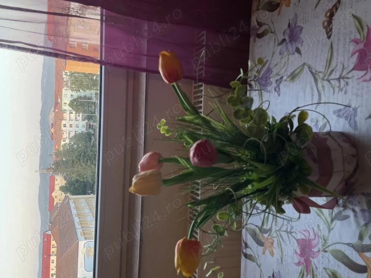 Apartment for rent, centrally located, dedicated to workers. - 4