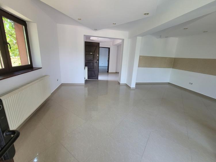 Casa individuala, ideala sediu firma Rahova- Teius - 4