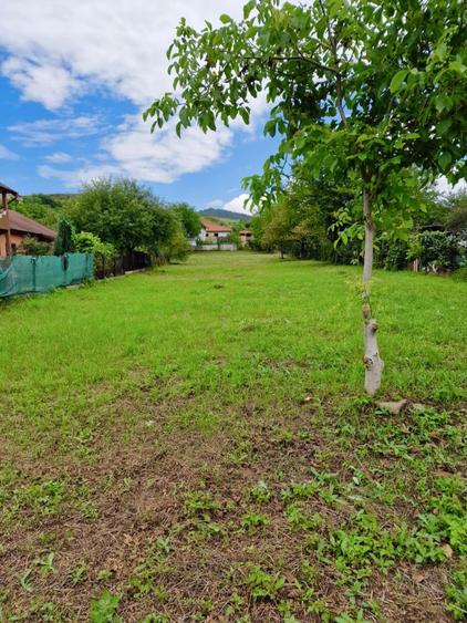 Teren Intravilan 1571 mp,Hunedoara str Latureni, - 3