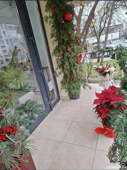 Spa?iu cu Vad, Cire?ica - 5