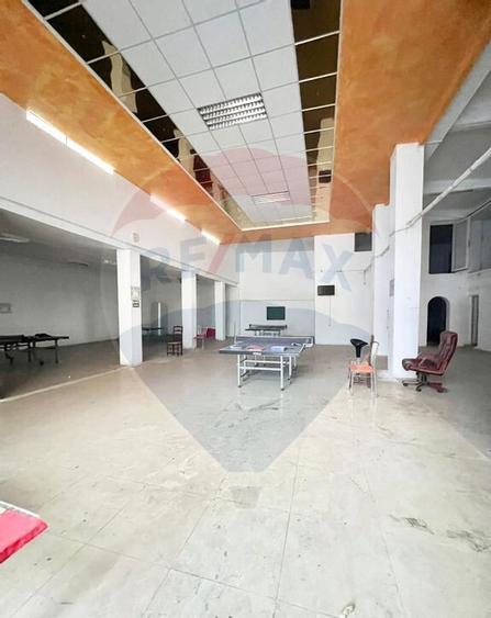 Spa?iu comercial de inchiriat Teiul Doamnei-Colentina - 3