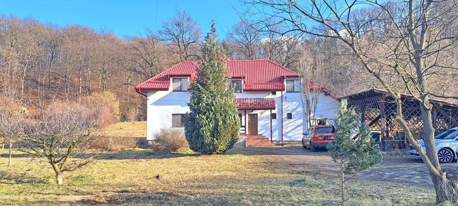 Propriete superbă la marginea pădurii în Râșnov Primăverii 5,000 mp Propriete superbă la marginea pădurii în Râșnov Primăverii 5,000 mp