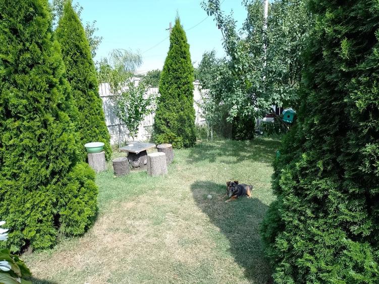 Casă de vacanță modernă cu teren generos –15min de Tecuci - 4