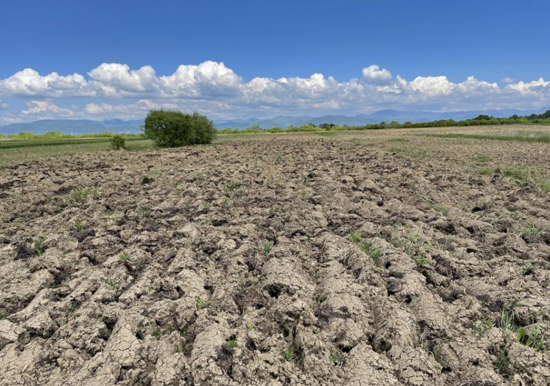 Teren la 13 KM de Baia Mare - 1