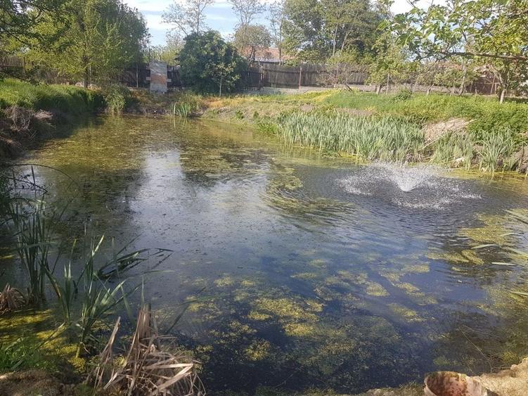 Casa cu iaz jud Teleorman - 1