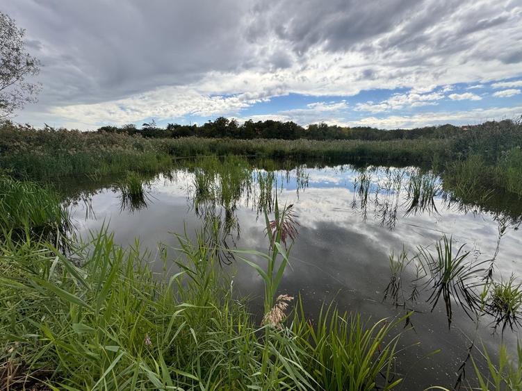 Teren cu deschidere la lac strada Orhideelor- conectare imediata la curent - 1