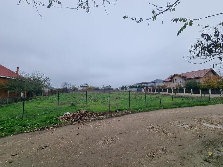 LAZU - TEREN 1060 MP / 530 mp  ! - 3