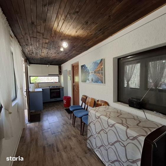 Casa de Vacanta Lepsa - 7