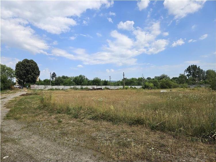 Proprietate Industriala - Productie - Industrie Alimentara - 31