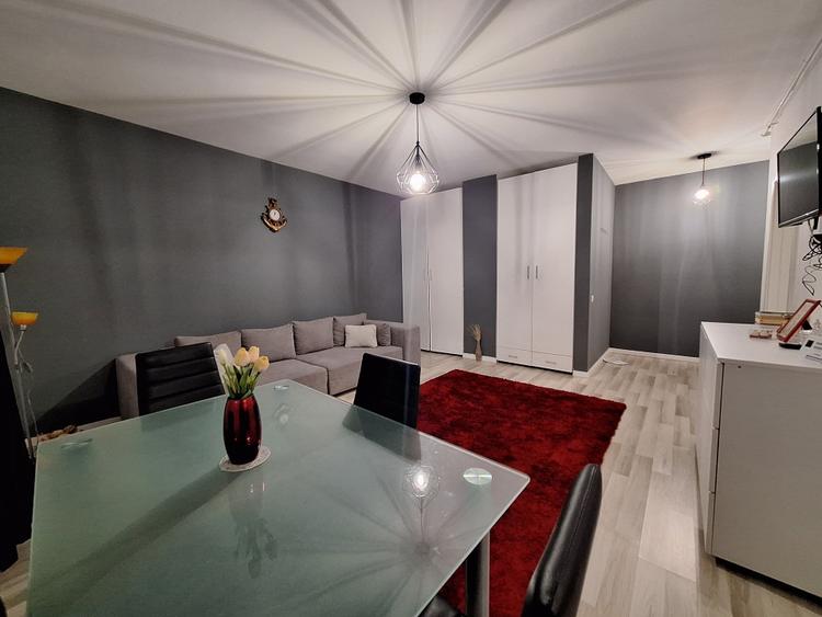 Apartament cu o camera, 35 mp, zona Teilor - 1