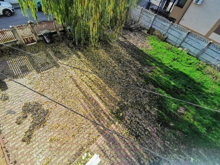 Dobroesti 5 Camere Vila La Curte - 19