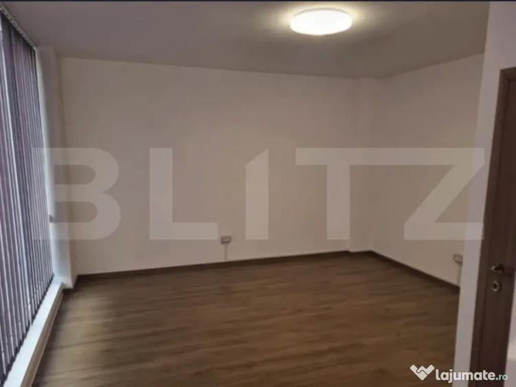 Spa?iu birou, 25 mp, Zona Dambul Rotund - 3