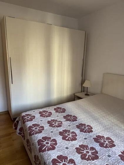 Apartament cu 2 camere, decomandat, PET FRIENDLY, zona Tatarasi - 2