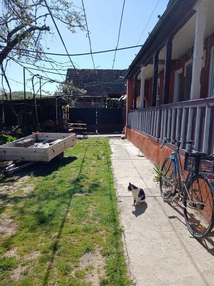 Vand casa in Soimus - 5