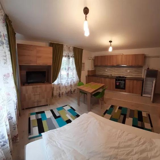 Apartament cu 1 camera, zona Nicolina-Lidl - 3