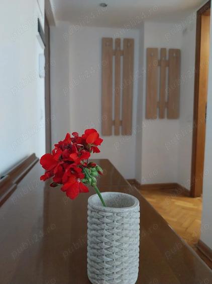 Inchiriez garsoniera ultracentrala - 3