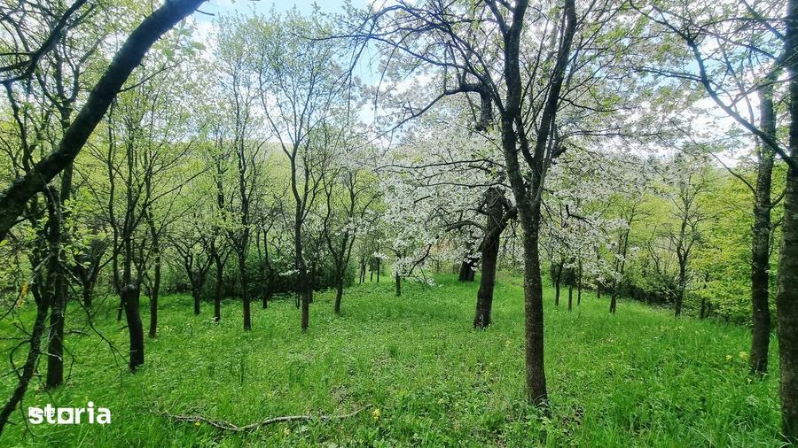 Casă cu 1 camere cu Teren 3750 Mp în Ciurila