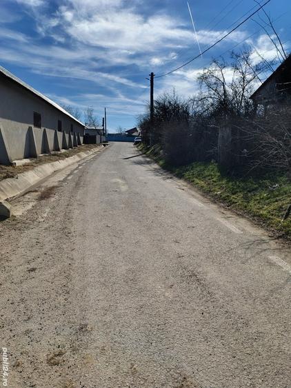 Teren de 2364 mp, în Brăhășești