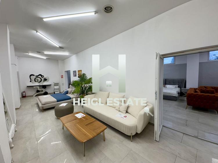 Spațiu comercial, de 470 mp, în Șagului