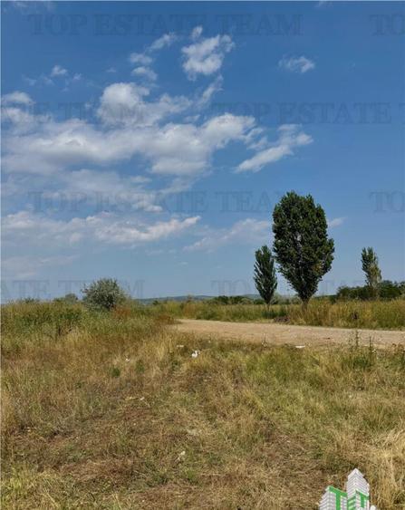 Teren industrial 7.200 mp / DN1B Zona showroom-uri au... - 11