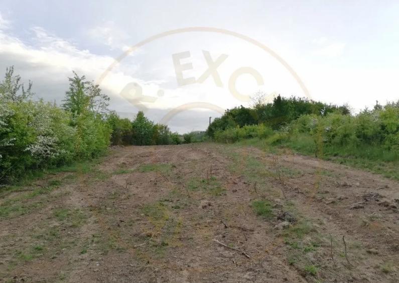 Teren 2000 mp intravilan Smeura-Mosoaia. Comision 0% - 2