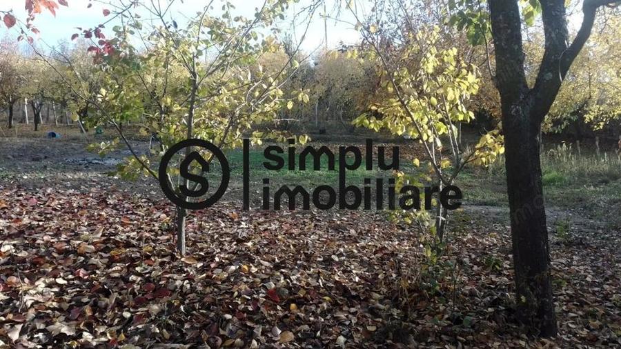 Teren Intravilan Central Ghercesti - 2