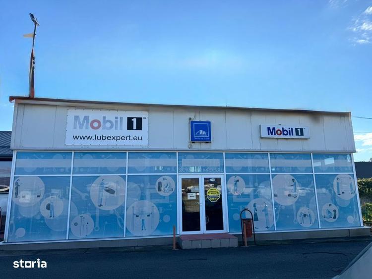 SERVICE AUTO Ultramodern (Business ultraprofitabil la cheie) - 5