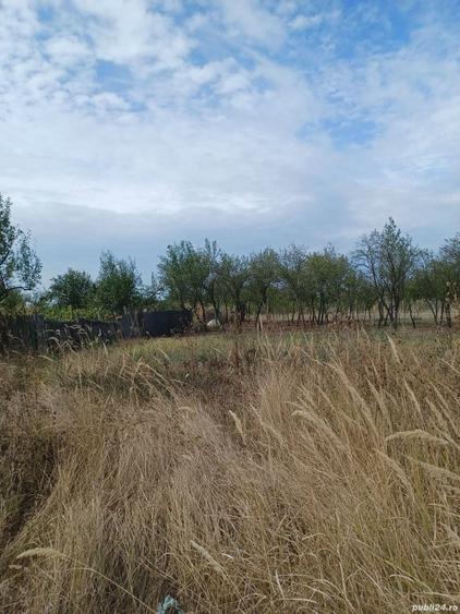 Casa in Fauresti Valcea - 8