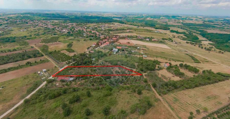 De vanzare Teren 3995mp intravilan Saldabagiu de Munte - 9