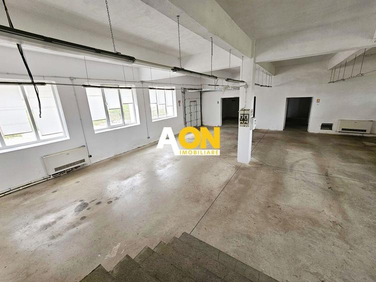 Spatiu industrial pentru productie sau depozitare, 1600 mp, Sebes - 5