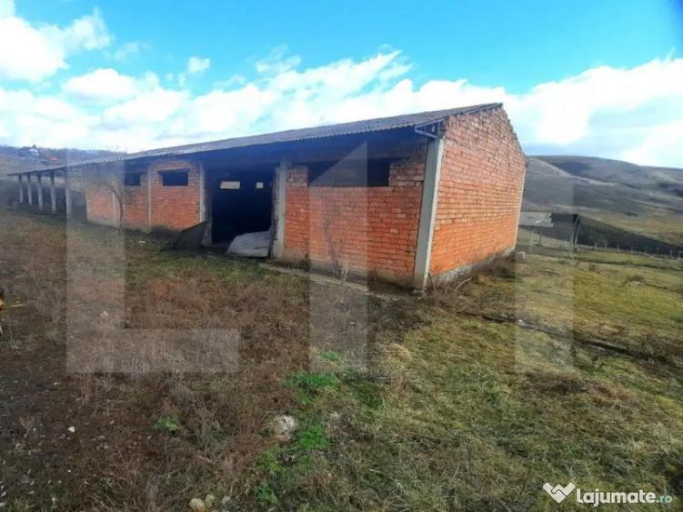 Ferma in intravilanul comunei Cojocna,4,5 Ha cu hale - 6
