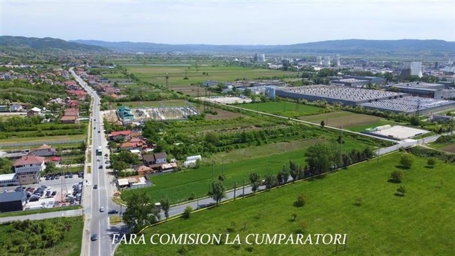 CAZANESTI, DN67, TEREN 3956 MP - 7