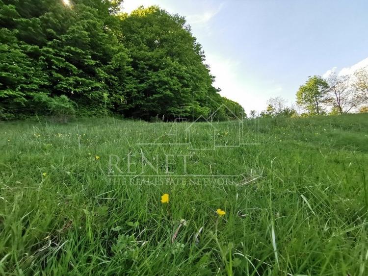 Oportunitate de Investiție - Teren de Basm in Bascov. DIRECT PROPRIETAR. - 9