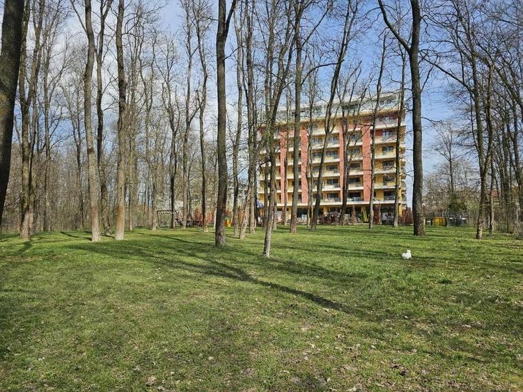 Inchiriez garsoniera Pipera(Divani&Sofa) - 3