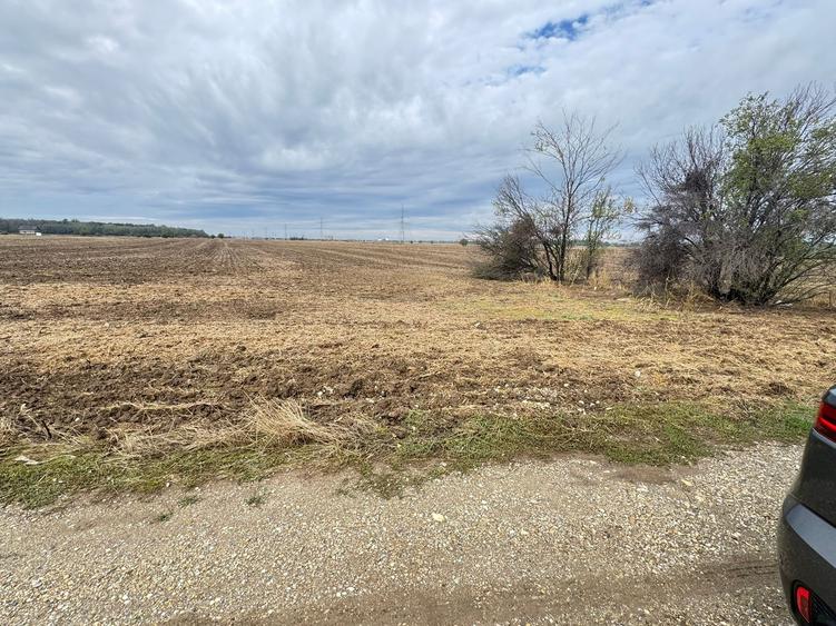 MAGURELE iF LOCALITATEA PRUNI ,LOTURI DE VANZARE - 9