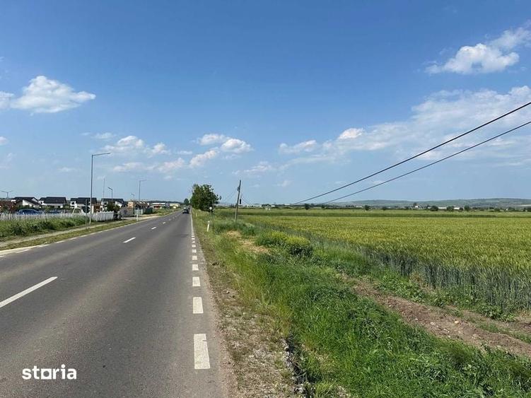 Vand teren 18.100 mp pentru dezvoltare in Sura Mica / jud. Sibiu - 1